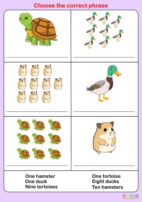 Choose the Correct Phrase – Singular and Plural Worksheet Set-PDF1