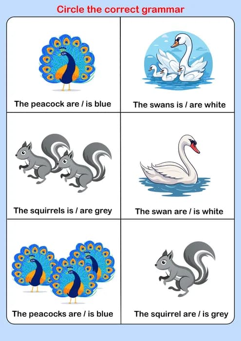 Circle the Correct Grammar – Colors (Is/Are) for Kids-PDF1