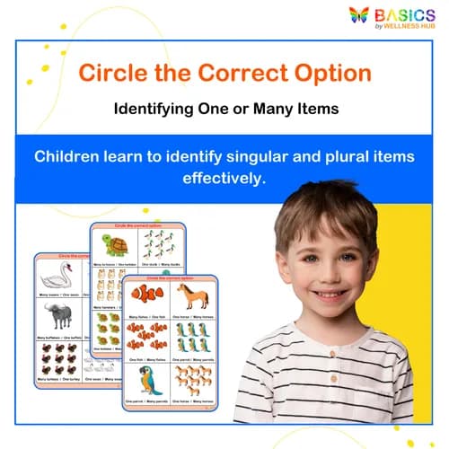 Circle the Correct Option – One or Many: Illustrated Worksheet Set - Free