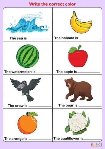 Color Identification and Writing Practice: Printable PDF for Kids-PDF1