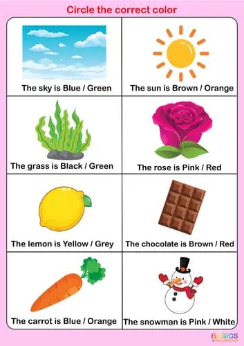 Color Recognition Activities: Printable PDF for Early Learners-PDF1
