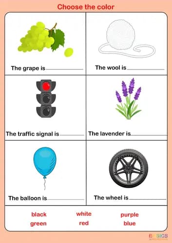 Color Vocabulary Sentence Completion Activities – Printable PDF-PDF1
