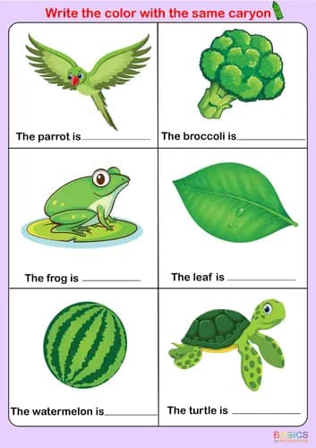 Color Recognition and Writing Activity: Fun PDF for Kids-PDF1