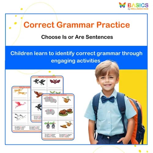 Write the Correct Grammar: Select and Write Sentences (Is/Are)