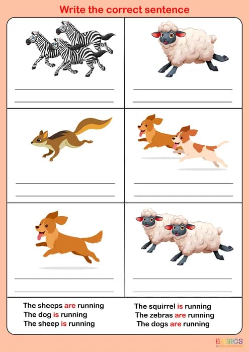 Write the Correct Grammar: Select and Write Sentences (Is/Are)-PDF1