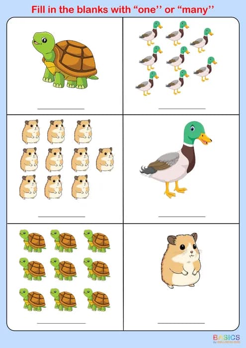 Fill in the Blanks with 'One' or 'Many' – Illustrated Worksheet Set-PDF1