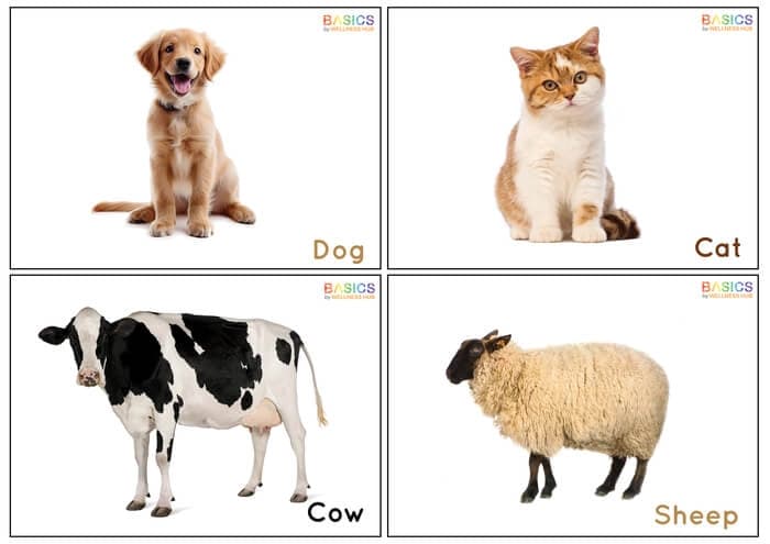 Domestic Animals Flashcards for Kids – Printable PDF-PDF1