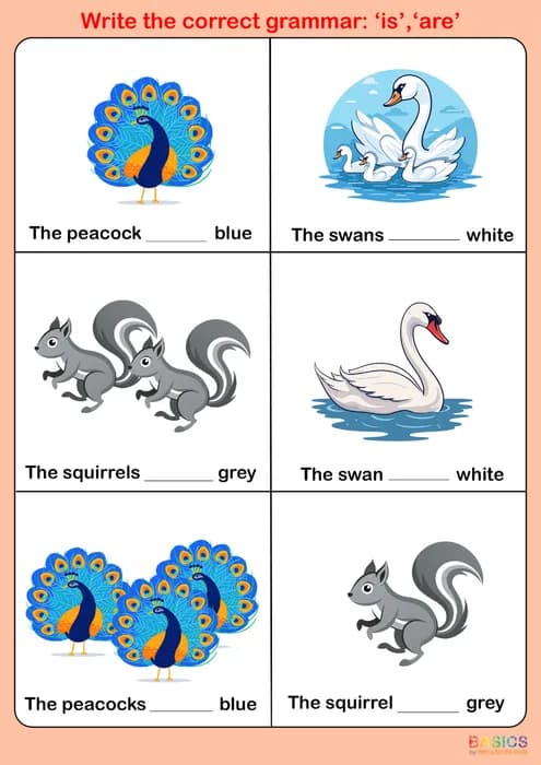 Write the Correct Grammar – Colors (Is/Are) for Kids-PDF1