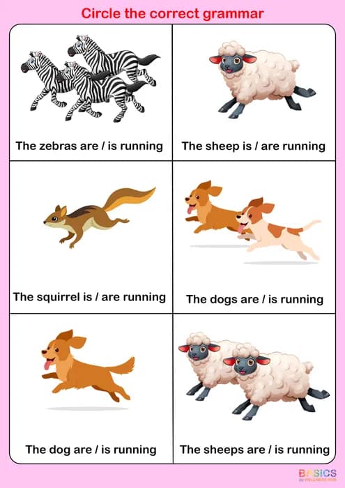 Circle the Correct Grammar – Singular & Plural Animals & Objects-PDF1