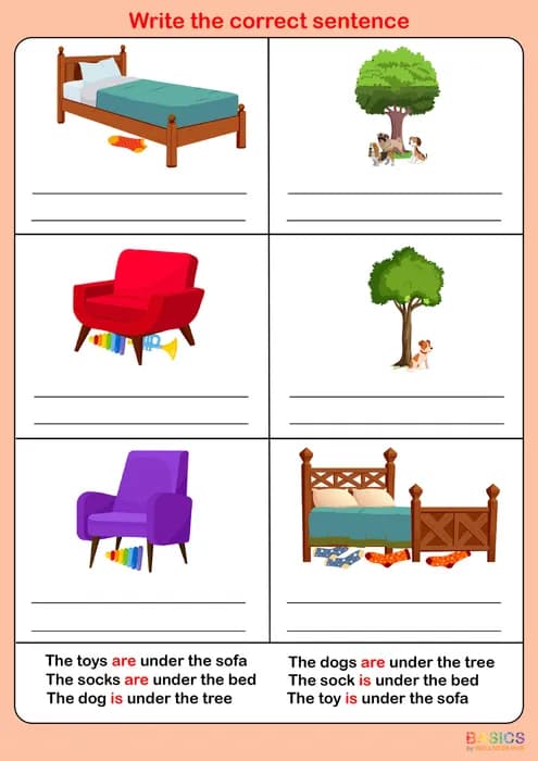 Write the Correct Grammar – Singular & Plural Sentences for Kids-PDF1