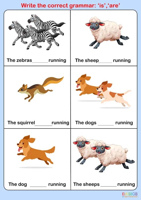 Write the Correct Grammar: Is / Are – Singular & Plural Practice-PDF1