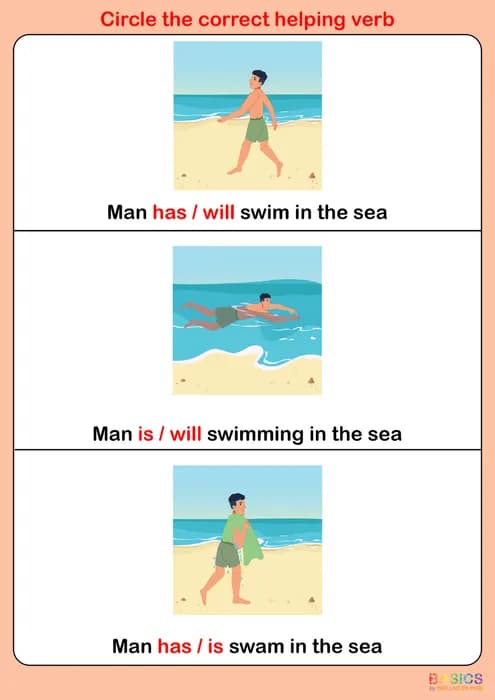 Circle the Correct Helping Verb – Will / Is / Are: Printable PDF Activity-PDF1