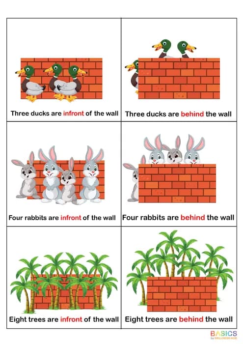 In Front & Behind – Learn Object Position with Visual Examples-PDF1