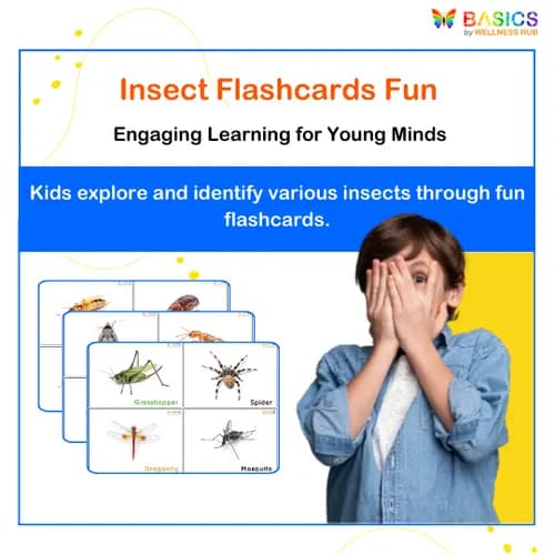 Insects Flashcards for Kids – Free Printable PDF - Free