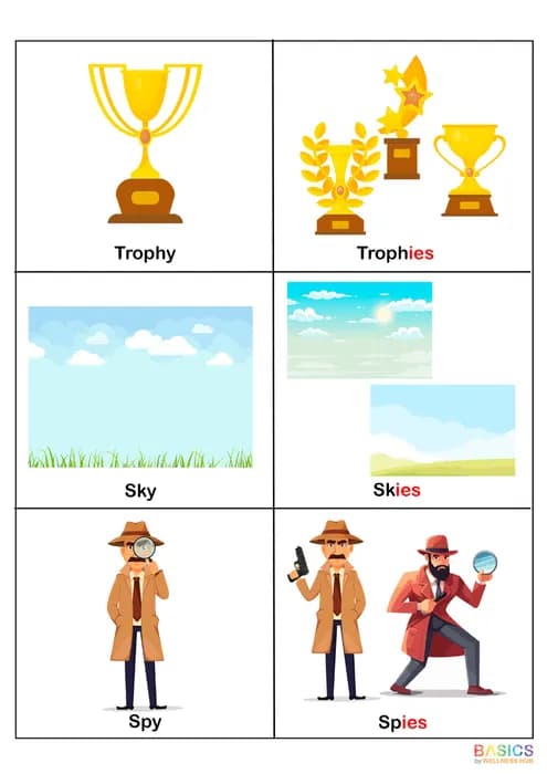 PLURALS – “IES” – Learn Plural Nouns Ending with “-ies” Through Pictures-PDF1