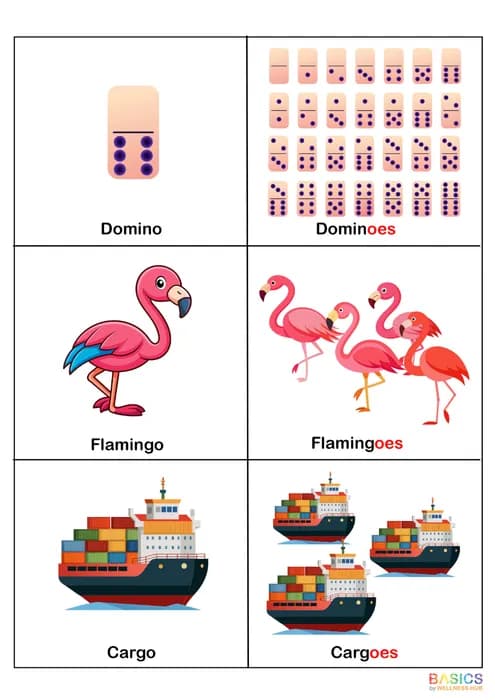 PLURALS – “OES” – Learn Plural Nouns Ending with “-oes” Through Pictures-PDF1