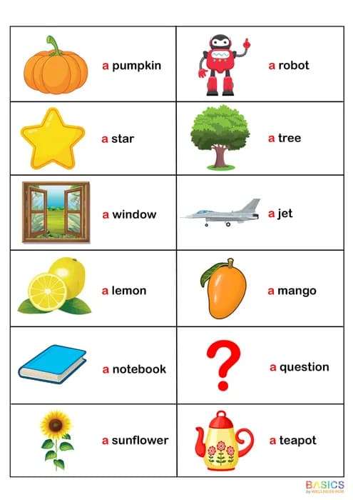 Usage of Article 'A' – Learn and Use 'A' with Pictures-PDF1