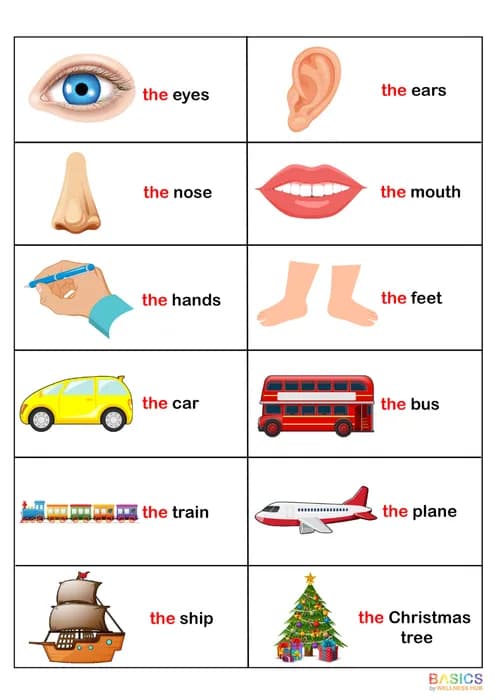 Usage of Article 'The' – Learn and Use 'The' with Pictures-PDF1