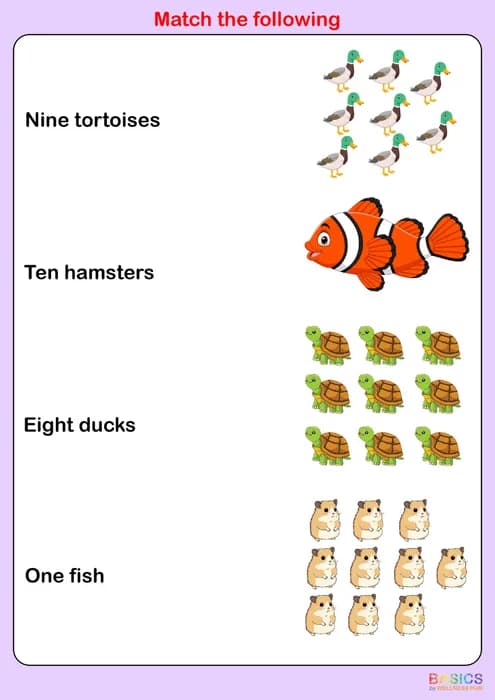 Match the Singular/Plural Descriptions to Pictures – Worksheet Set-PDF1