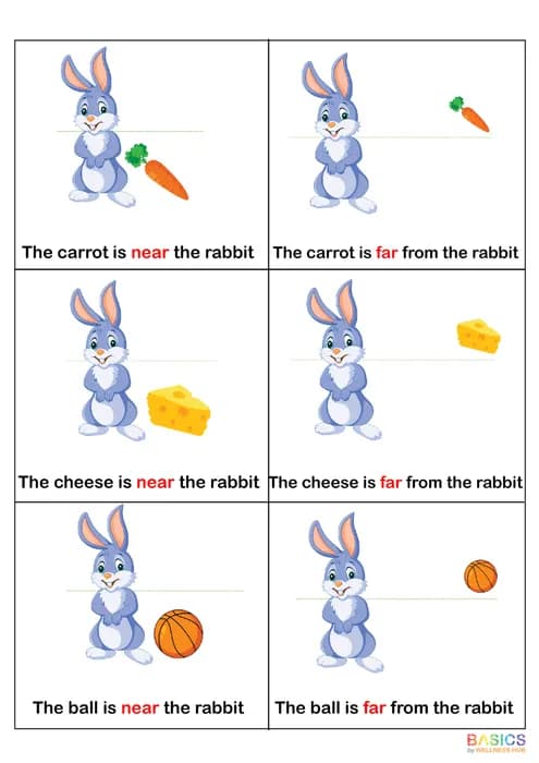 NEAR & FAR – Learn Object Position with Prepositions-PDF1