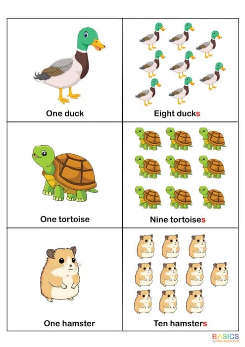 PLURALS – “S” – Learn Regular Plural Nouns with Pictures-PDF1