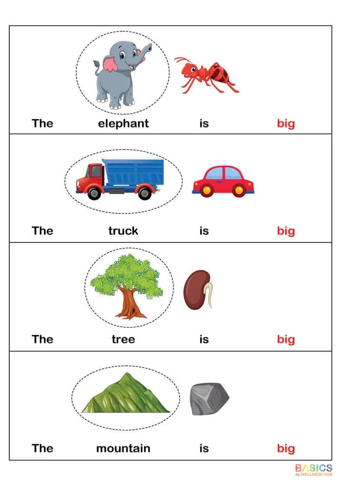 Learning Sentences Through Concepts: Illustrated PDFs for Kids-PDF1