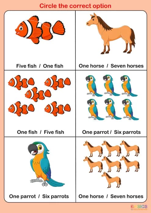 Circle the Correct Singular / Plural – Illustrated Worksheet Set-PDF1