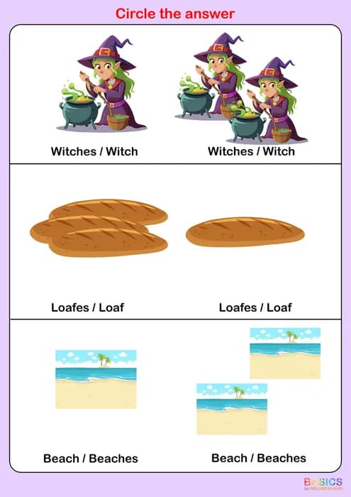 Circle the Correct Answer: Singular or Plural – Printable PDF for Kids-PDF1