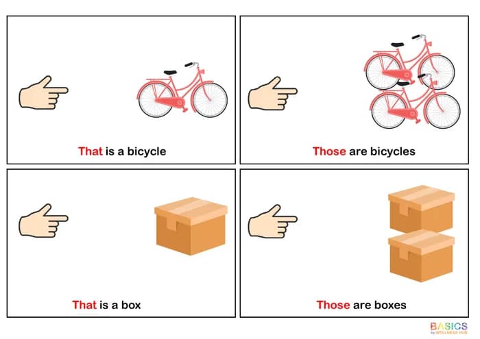 THAT & THOSE: Identify Far Singular and Plural Objects-PDF1