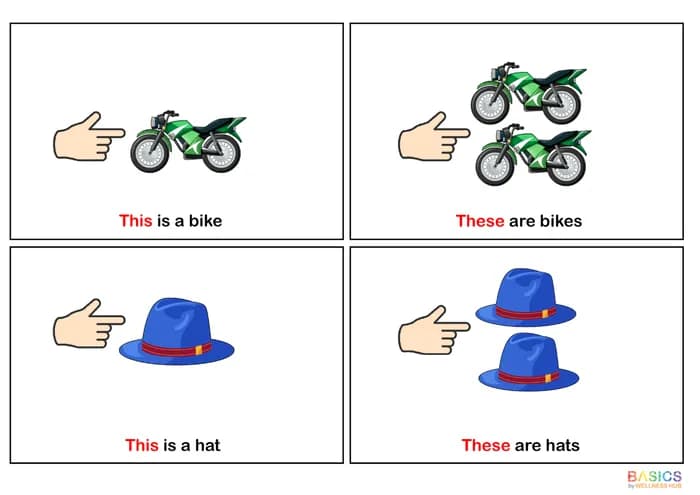 THIS & THESE: Identify Singular and Plural Objects – Printable PDF-PDF1