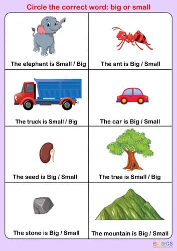 Big and Small Activity Book: Understanding Size Concepts for Kids-PDF1