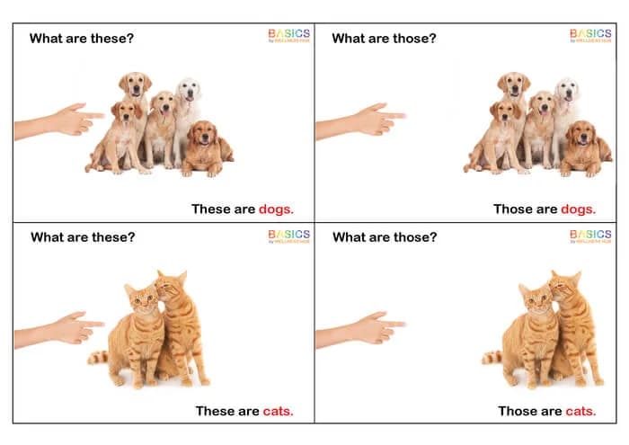 What Are These and Those? WH Questions – Animals (Printable PDF)-PDF1