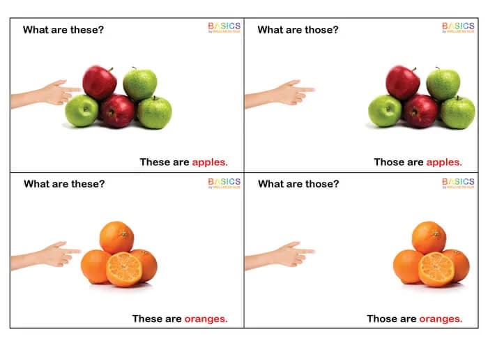 What Are These and Those? WH Questions – Fruits (Printable PDF)-PDF1