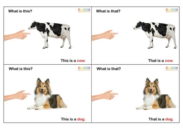 What is This and What is That? - Animals Learning PDF for Kids WH-PDF1