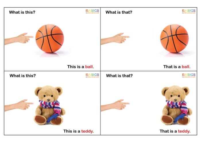 What is This and What is That? - Free Toys Learning PDF for Kids WH-PDF1