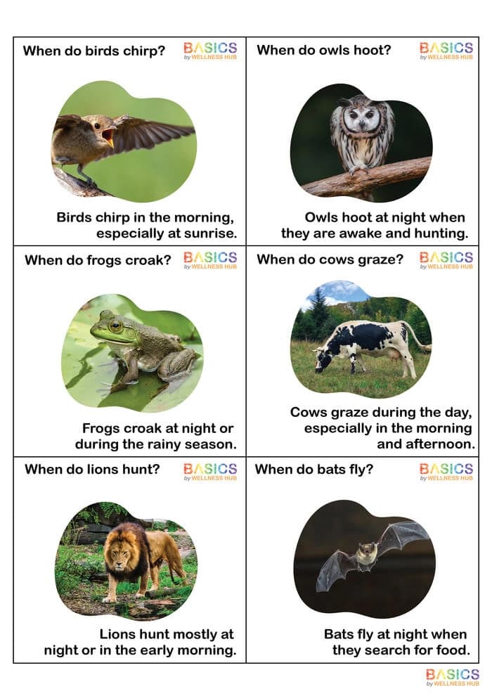 When Questions Flashcards – Nature and Environment for Kids (Printable PDF)-PDF1
