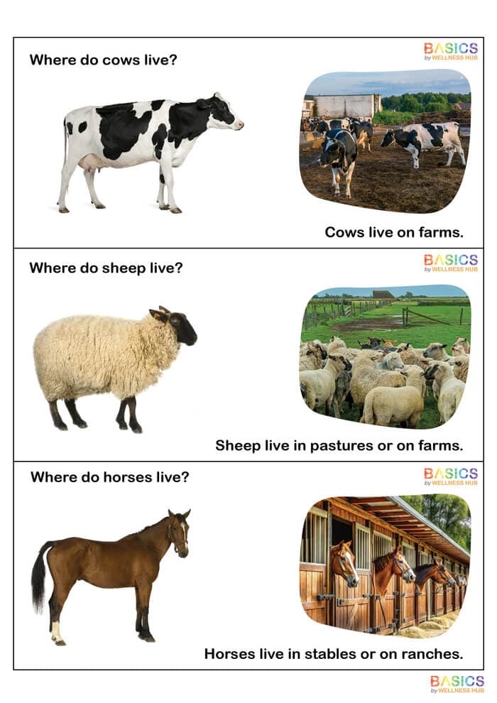 Where Questions in Nature – Printable Flashcards on Animals & Habitats-PDF1