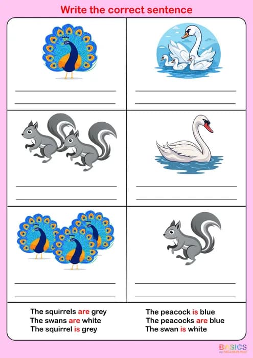 Write the Correct Grammar – Colors: Printable PDF for Kids-PDF1