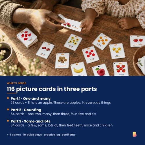 One Becomes Many Cards — 116 Printable Singular and Plural Picture Flashcards in 44 Sets – page 2 preview