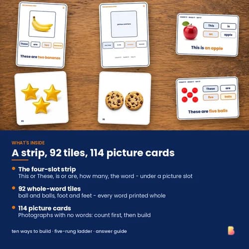 One Becomes Many Sentence Strips — Printable Plural Sentence Strips with 92 Word Tiles and 114 Picture Cards – page 2 preview