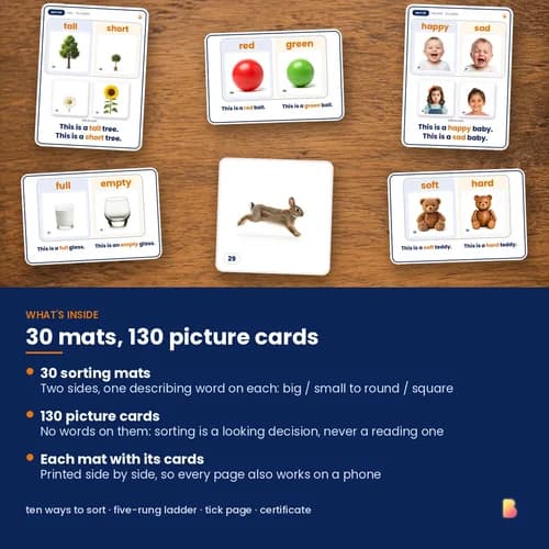 This One or That One Sort Mats — 30 Printable Opposites Sorting Mats and 130 Picture Cards for Describing Words – page 2 preview