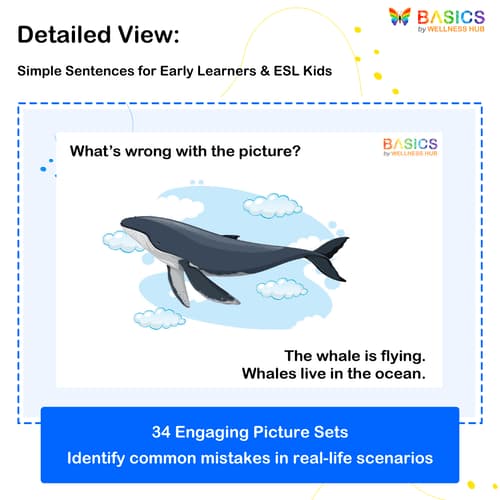 What Is Wrong with the Picture? – Fun Learning with Pictures for Kids