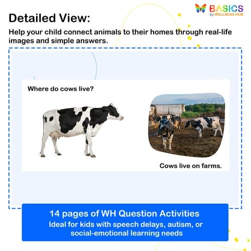 Where Questions in Nature – Printable Flashcards on Animals & Habitats