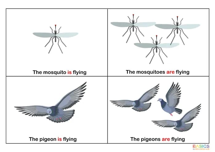 IS / ARE – Animal Actions: Fun Grammar Practice for Kids-PDF2
