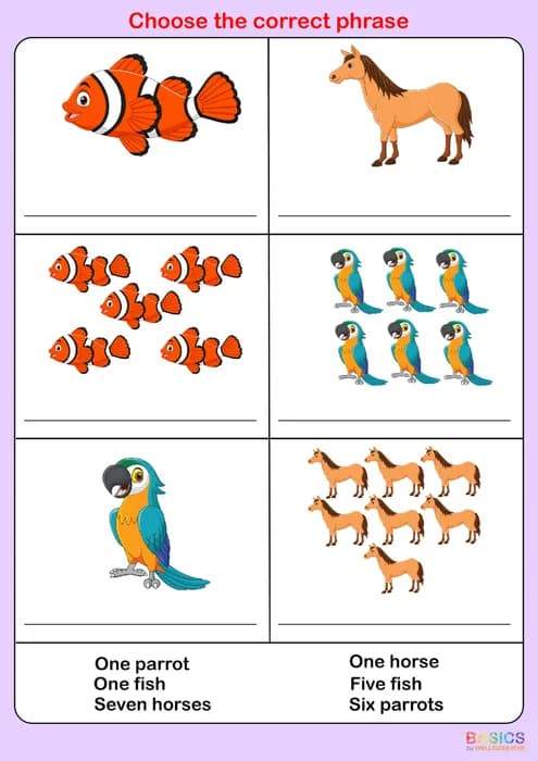 Choose the Correct Phrase – Singular and Plural Worksheet Set-PDF2
