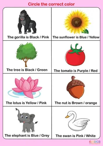 Color Recognition Activities: Printable PDF for Early Learners-PDF2