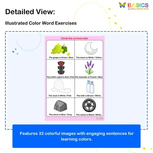 Color Recognition Activities: Printable PDF for Early Learners preview 2