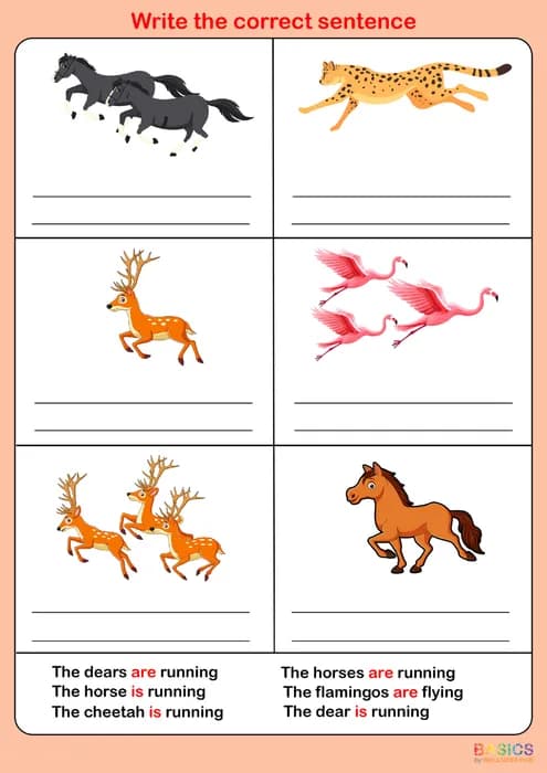 Write the Correct Grammar: Select and Write Sentences (Is/Are)-PDF2