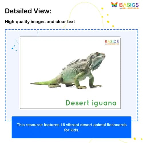 Desert Animals Flashcards for Kids – Free Printable PDF preview 2