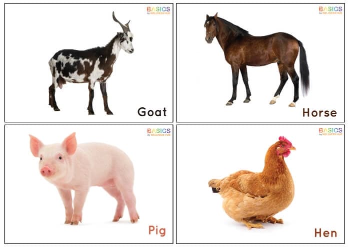Domestic Animals Flashcards for Kids – Printable PDF-PDF2